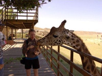 Safari Park (Tien Shan Reserve of Wildlife) Safari Park (Tien Shan Reserve of Wildlife)