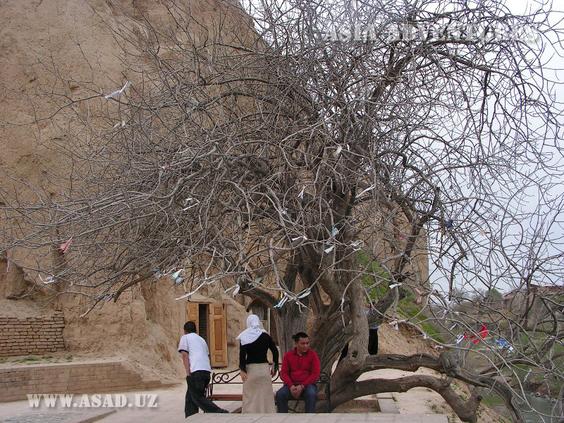 http://www.centralasia-adventures.com/image/cache/data/info/uzbekistan/samarkand/haji_daniyar_mausoleum/03_big-800x600.jpg