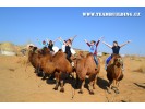 Camel riding
