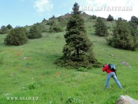 Tours to Zaamin Tours to Zaamin
