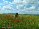 Ecological tours