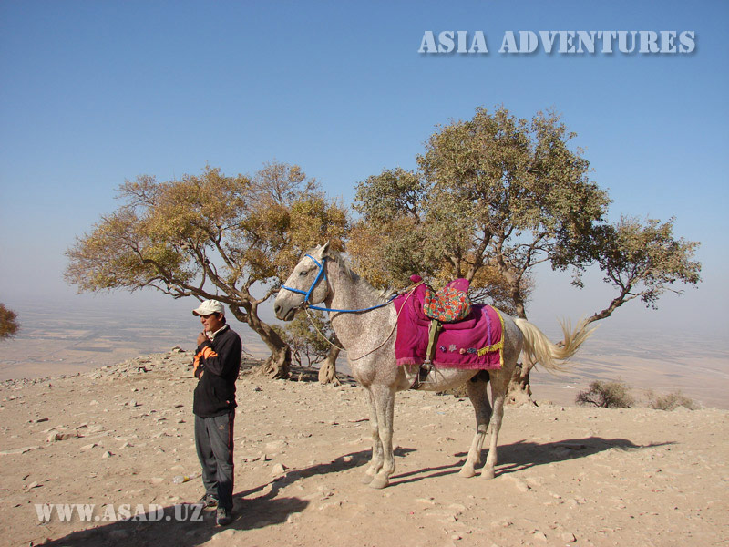 Пещера Хазрат-Дауд
