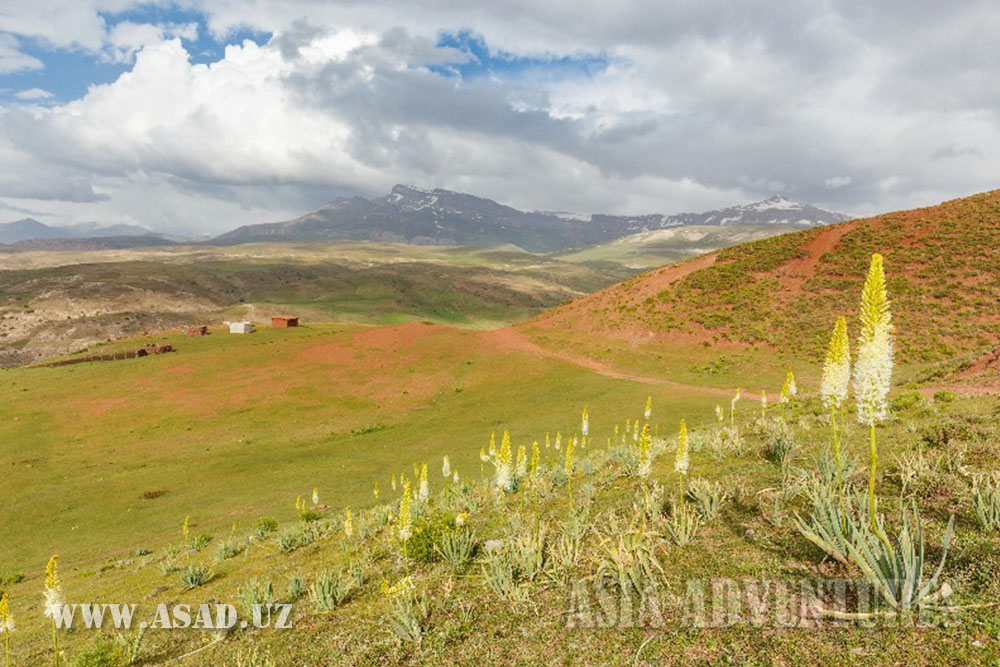 пещера Тамерлана
